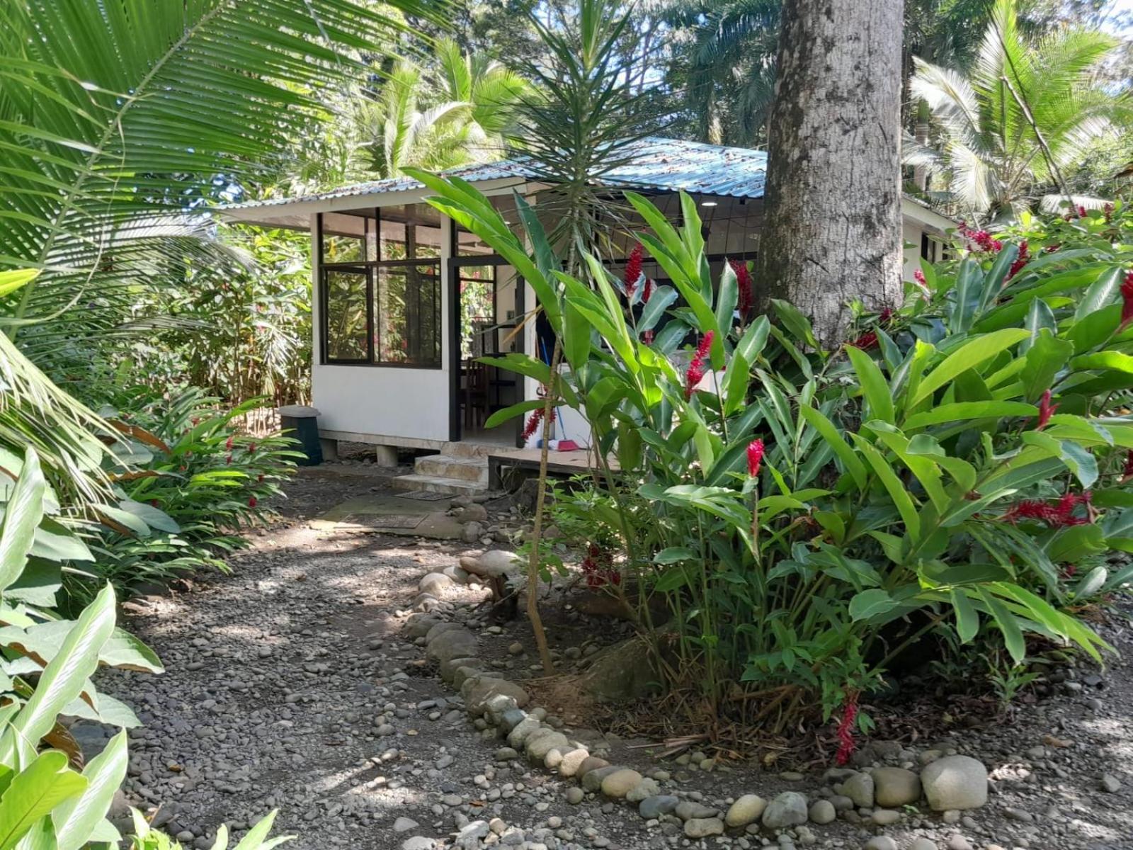 Beachfront Apartment Punta Uva Exterior photo